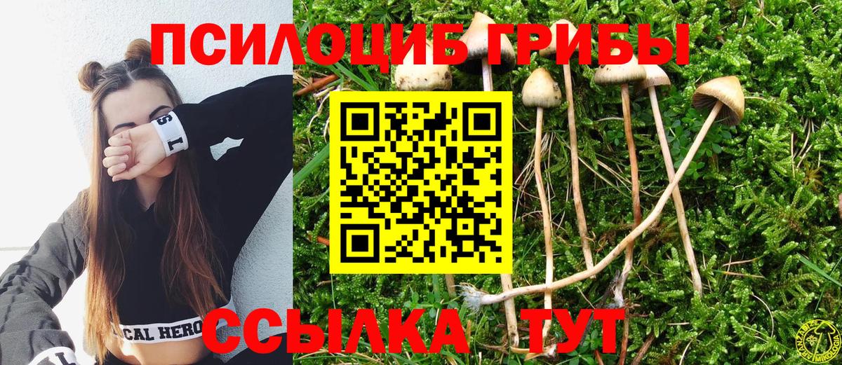 Галлюциногенные грибы MAGIC MUSHROOMS Нефтеюганск